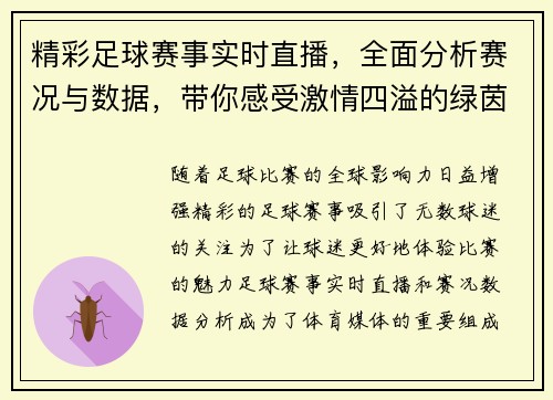 精彩足球赛事实时直播，全面分析赛况与数据，带你感受激情四溢的绿茵场！